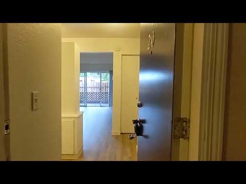 The Mediterranean - Video 3 of 3