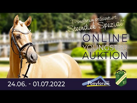 Steendieks La vie est belle Stute 2019 v. Steendieks Morgensterns Dalai / FS Chambertin