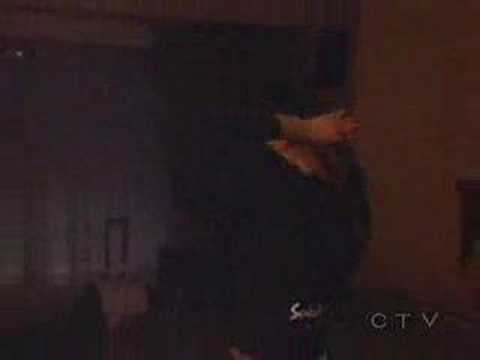 Cher Lost Her Luggage