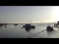 The Morning Sounds of Monterey, CA