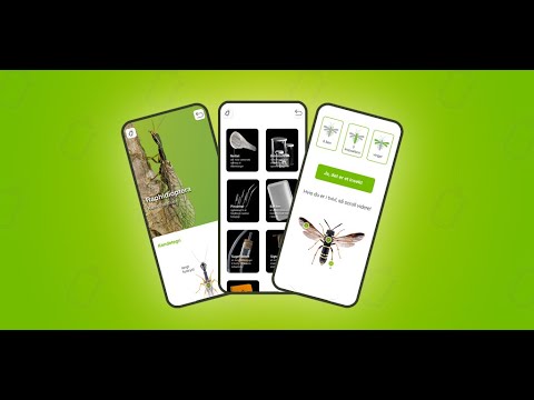 Bugdex DK video thumbnail