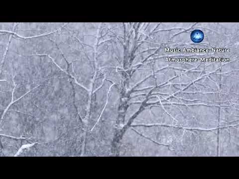 Douce tempête de neige