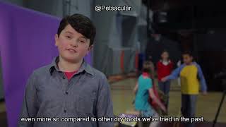 Wellness Complete Health Senior Dry Dog Food Review: Is It W