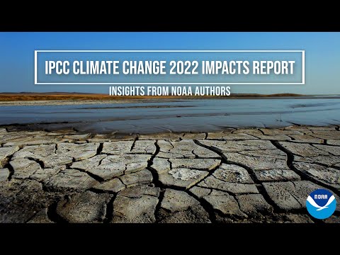 IPCC Climate Change 2022 Impacts Report: Insights from NOAA Authors