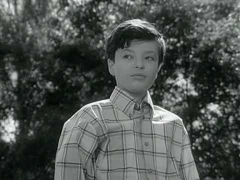 Till, der Junge von nebenan (1967) 9.Die Musikstunde