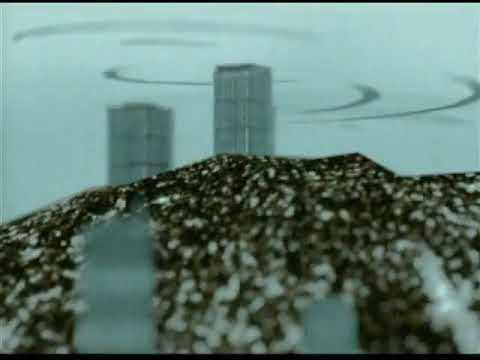 89. Cat Soup Instagram Video - Untitled [14.01.2020]