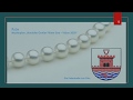 channel
