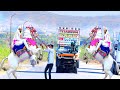 Ghodi Dj Dance 2023 Special Video Chori 500 Ko Deja Not Remix Song Ghodi Dj Dance
