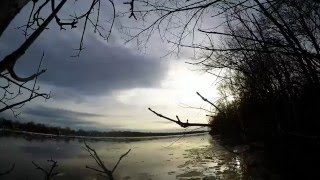 Springtime - Timelapse