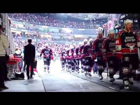 Eishockey: Kölner Haie sind zurück in der Erfolgsspur