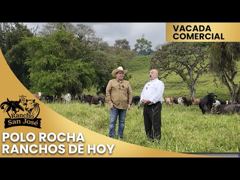 POLO ROCHA DE RANCHOS DE HOY EN RANCHO SAN JOSÉ / VACADA COMERCIAL