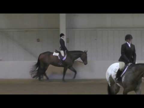 2017 04 08 Chloe's Open Youth Hunter Under Saddle