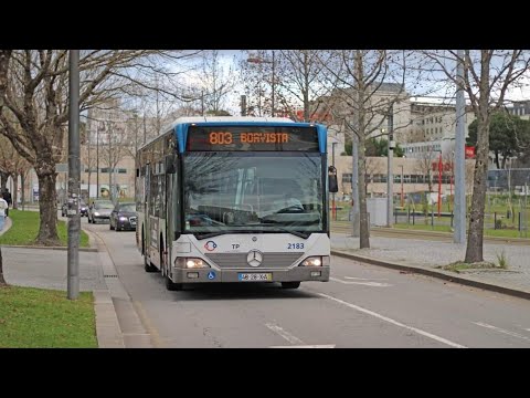 2182 STCP - Mercedes-Benz Citario (O530) Evobus - Linha / Line 200