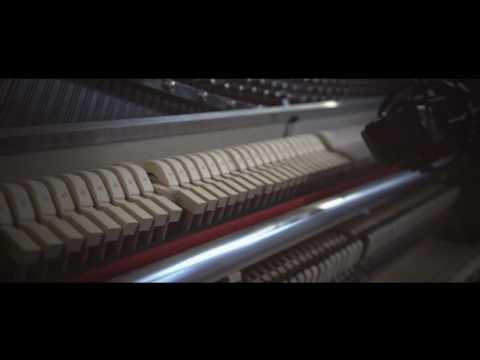 Julien Marchal - INSIGHT XX (Live at home)