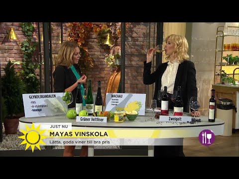 Mayas vinskola: Så tog sig Österrike tillbaka efter skandalen - Nyhetsmorgon (TV4)