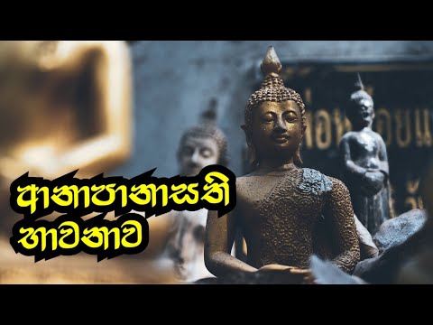 ආනාපානාසති භාවනාව...
