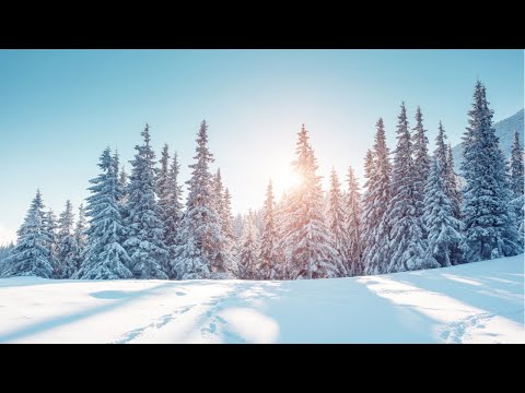 Jordan S. Mompo - The Druid