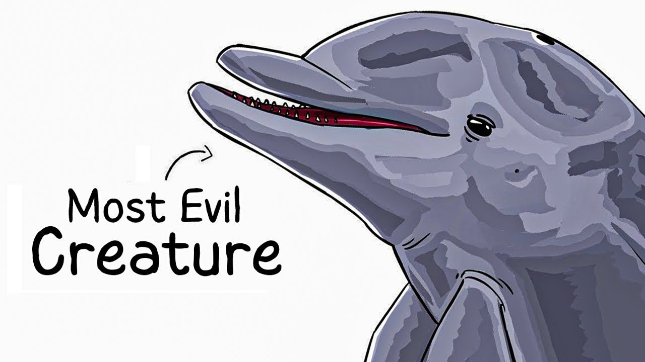 Why it Sucks To Be Born As a Dolphin