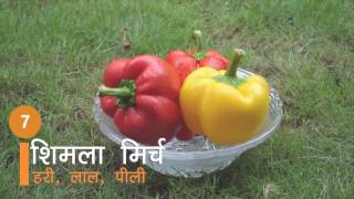 10 Ingredients For Best Salad In Hindi | सलाद