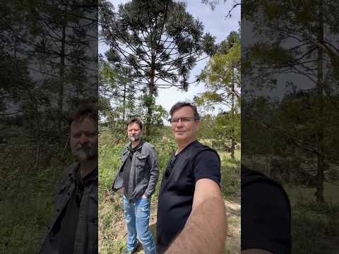 Chácara 24.000 m2 Campo Magro a 13km do Madalosso e 3km da prefeitura.