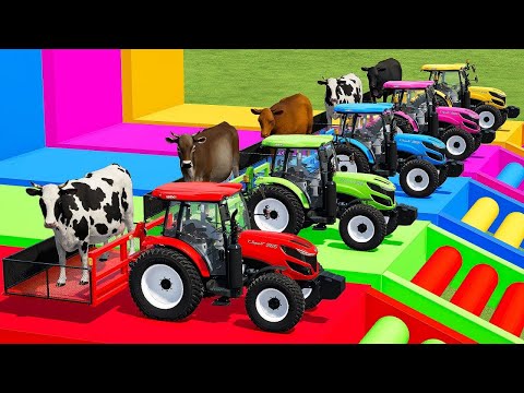 TRANSPORTING COWS WIT COLORED ISEKI TRACTOR & MAN TRUCKS - Farming Simulator 22