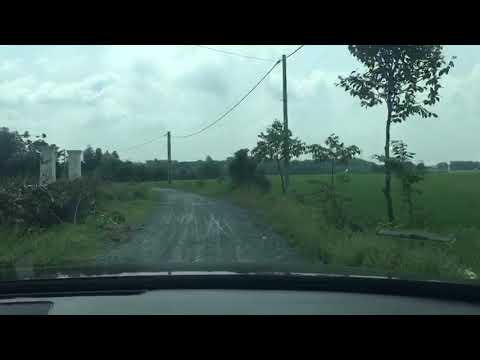 Cho thuê 1000m2 đất 1/ Tỉnh Lộ 7. Đường hiện hữu nhà nước, điện 3 pha có sẵn.