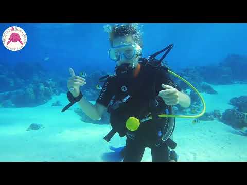 DiVlog#20220628 A new diver!!