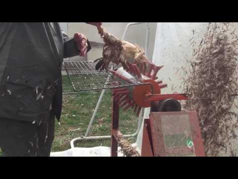 , title : 'Comment plumer un poulet avec une bétonnière !!! Attention les poulets sont déjà morts!!!!'
