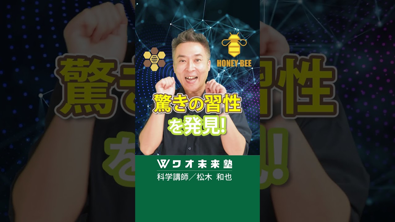 ハチのダンスに隠された「秘密」知ってますか…！？