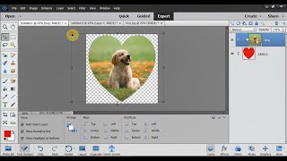 Crop a Picture to a Shape in Adobe Photoshop Elements