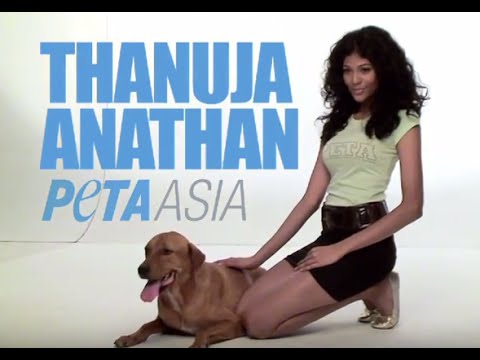 Miss World Malaysia Thanuja Ananthan Is an 'Angel' for Animals
