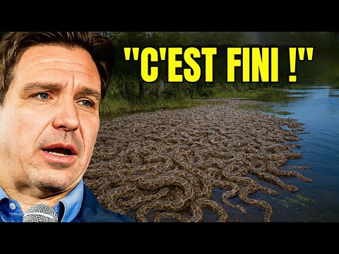 Les caméras des marais de Floride révèlent ce que tout le monde craignait – encore pire