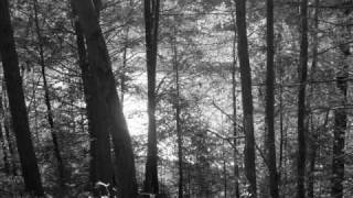 Music video thumbnail preview for Nightsky Bequest - Enchanted name by Nightsky Bequest