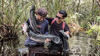 Download lagu 5 DAYS FISHING IN SWAMPS, FORESTS, RIVERS & GETTING LOTS OF BIG AND RARE FISH😅 #bocahpecicilan mp3