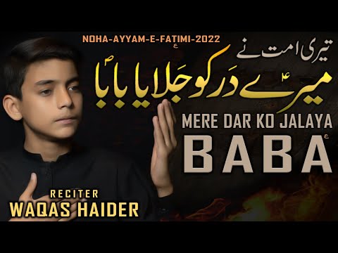 Teri Ummat Nay Meray Dar Ko Jalaya Baba - Noha Bibi Fatima 2022 - Mir Hasan Mir Noha by Waqas Haider