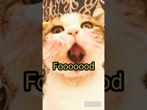 🍡🍬🍬🍭🍧🛌🏻🛌🏻🛌🏻 #cat