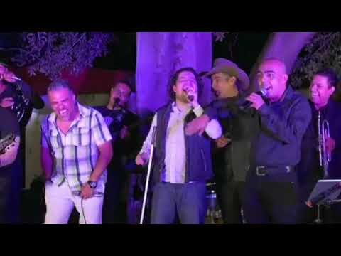 Mono de alambre con 👀🥚