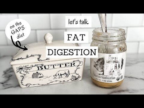 Fat Digestion and Absorption on the GAPS Diet | Bumblebee Apothecary