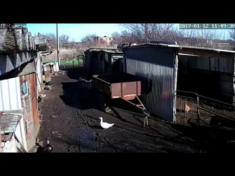 Wifi камеры // Видео наблюдение // Инфракрасная подсветка // Жизнь в деревне