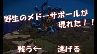 #19【ドラゴンクエストビルダーズ2】ついにオッカムルの教団総督メドーサボール現る！