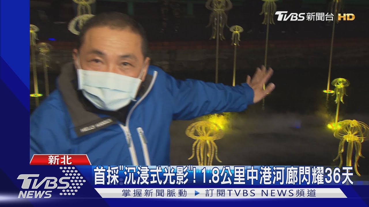 與海洋生物嬉遊趣！　新北「鯨彩中港」光雕啟動