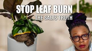Stop Leaf Burn in Semi Hydroponics: How Sodium and Chloride Affect Sensitive Plants