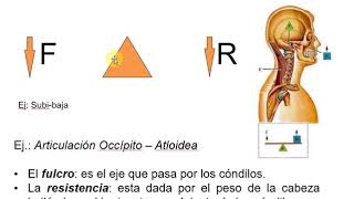 Biomecánica (Parte 2) - Profundizaciones