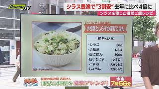 【献立予報】旬＆お得な食材と簡単レシピを紹介！夕飯献立の参考に…今回は｢シラス｣(静岡)