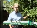 Landscaping Tips- Pruning a Small Tree