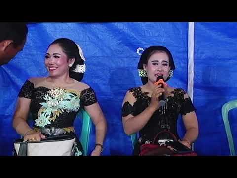 TAYUB GECOL LARANG UDAN