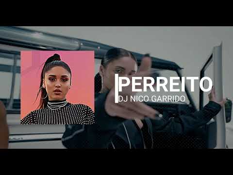 PERREITO REMIX ✘ DJ NICO GARRIDO
