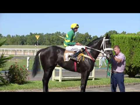 260228 c08  - ENCHULADA - SINT PAYSANDU