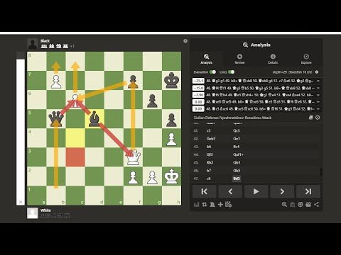 Magnus Carlsen Vs Boris Gelfand (2013) °Brilliant endgame° World Championships candidate London✅🖤