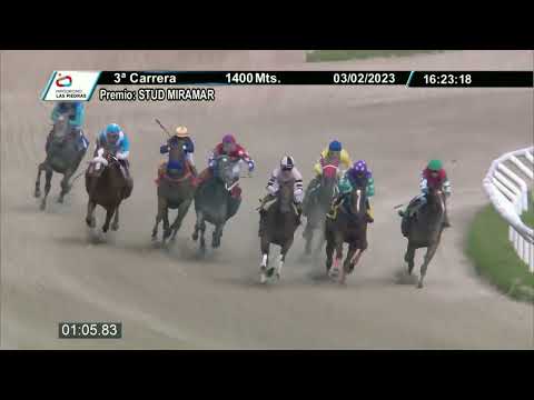 230203 c03 - DONNA - HIPODROMO LAS PIEDRAS